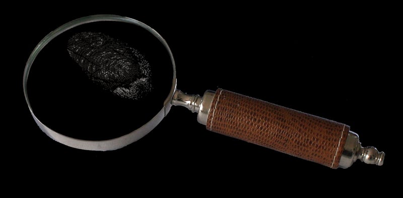Future Investigations